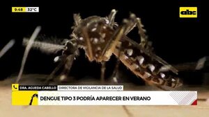 Video: dengue tipo 3 podría aparecer en verano  - ABC Noticias - ABC Color