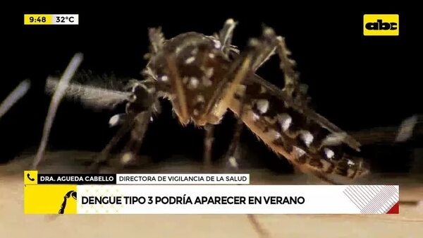 Video: dengue tipo 3 podría aparecer en verano - ABC Noticias - ABC Color