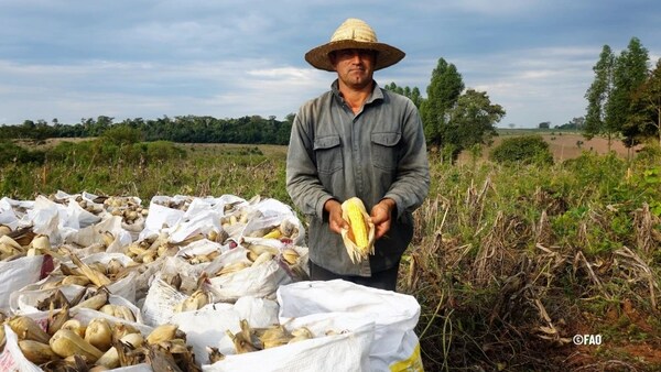 DÍA MUNDIAL DE LA ALIMENTACIÓN: SE PONE ÉNFASIS EN LA DISTRIBUCIÓN DESIGUAL DEL AGUA EN PARAGUAY