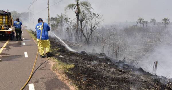 La Nación / Cordillera: incendio forestal ocasionó triple choque y falleció uno de los conductores