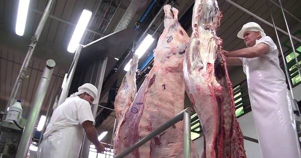 La Nación / Frigoríficos esperan a las cuadrillas kosher