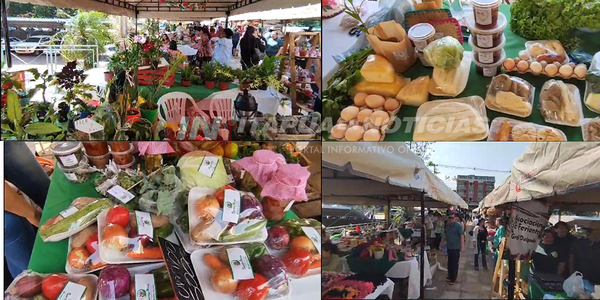 SE REALIZÓ GRAN FERIA DE AGRICULTORES Y EMPRENDEDORES DE ITAPÚA - Itapúa Noticias