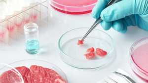 Brasil: proyecto de ley apunta a prohibir la “carne” de laboratorio