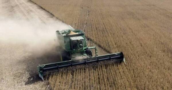 La Nación / USDA mantiene previsión de la producción sojera