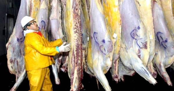 La Nación / Frigoríficos esperan la llegada de las cuadrillas kosher