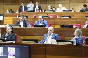Senado analiza polémica ley de Bachi Núñez sobre indemnización a estibadores - Política - ABC Color