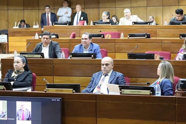 Senado analiza polémica ley de Bachi Núñez sobre indemnización a estibadores - Política - ABC Color