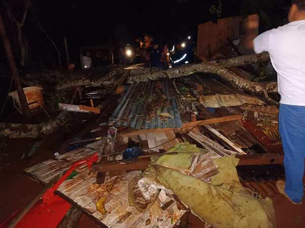 TEMPORAL OCASIONA TRAGEDIA: MADRE E HIJO MUREN APLASTADOS POR UN ÁRBOL QUE CAYÓ SOBRE SU VIVIENDA