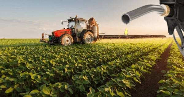 La Nación / Paraguay quiere ser un centro regional de biocombustibles