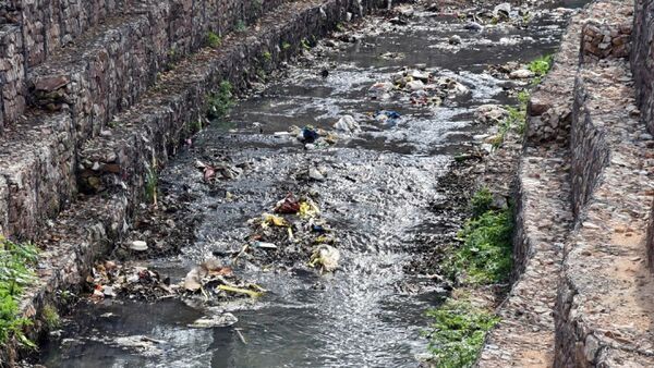 Senepa insiste en eliminar criaderos ante amenaza del DEN-3