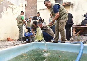 Ante la alerta por posible epidemia de dengue se insta a mantener piscinas limpias - Nacionales - ABC Color