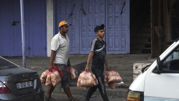 Según la ONU, en Gaza queda comida para cinco días más | OnLivePy