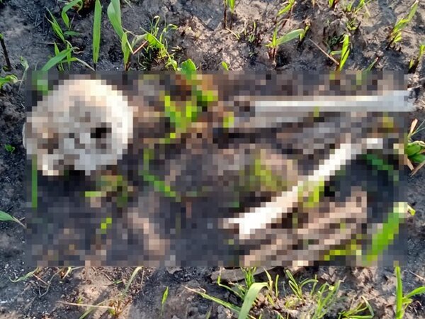 Hallan restos óseos humanos en una estancia en Amambay