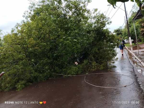MUNICIPIO DE CAMBYRETÁ SE OCUPA POR REESTABLECER EL ORDEN TRAS EL TEMPORAL