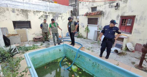 La Nación / Lucha contra el dengue: intervienen vivienda en Asunción