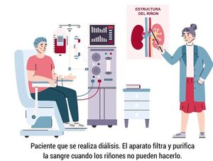 Pacientes que se dializan en forma tercerizada ya no podrán hacerlo si el IPS y el MSP no pagan lo adeudado - Nacionales - ABC Color