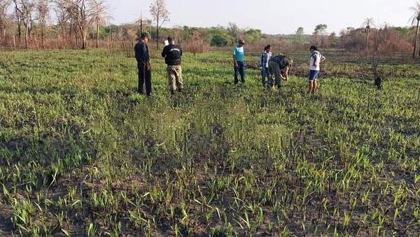 Encontraron restos óseos en Bella Vista Norte: investigan si se trata de Óscar Denis - San Lorenzo Hoy