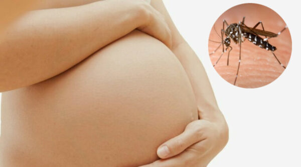 PLAN DE CONTINGENCIA DEL DENGUE TIENE A EMBARAZADAS COMO UNA DE LAS PRIORIDADES