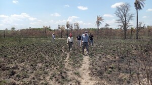 Restos óseos de Bella Vista Norte serían de cinco años atrás, según datos preliminares de la Fiscalía