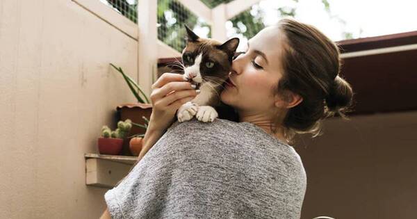 La Nación / ¿Qué sienten los gatos cuando reciben besos de parte de sus dueños?