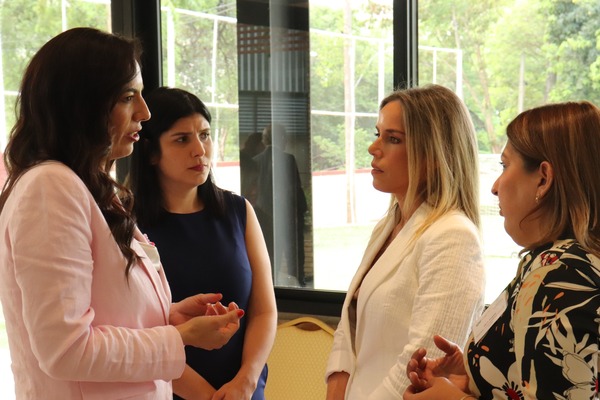 Viceministra de Comunicación integra grupo de mentoras en el Programa de Mentorías de Mujeres Líderes en la Administración Pública