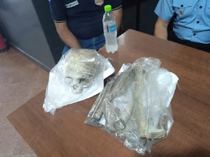Beatriz Denis entregó fotografías a odontóloga para confirmar o descartar que restos sean de Óscar Denis