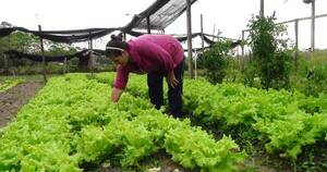 La Nación / Agricultoras ocuparon el 37 % de la fuerza productiva en 2022