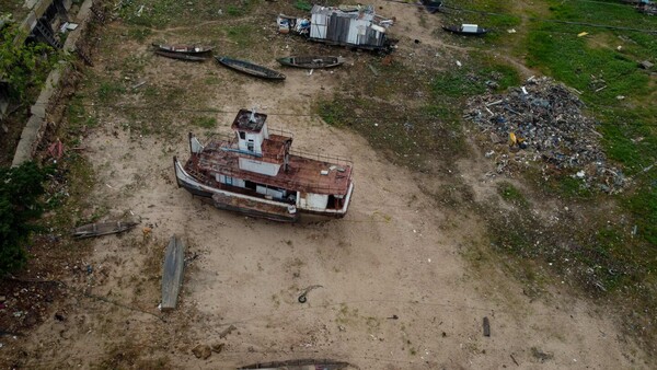 Los 153 delfines muertos por sequía en la Amazonía representan 10% de su población local