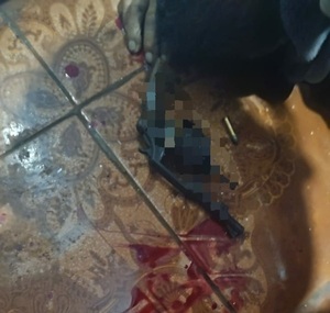 En asalto asesinan a un hombre e hieren a su hijo en María Auxiliadora
