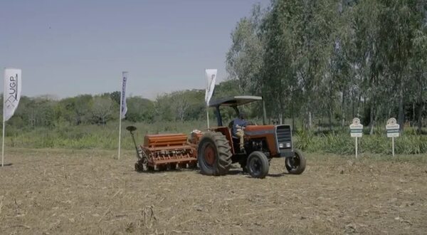 El Niño no llega y la sequía empieza a inquietar y atrasa siembra de soja - Nacionales - ABC Color