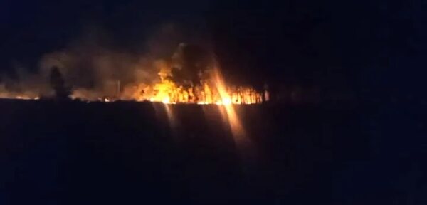 Video: Incendio de pastizal se registra en acceso Pirayú -Ypacaraí - Nacionales - ABC Color