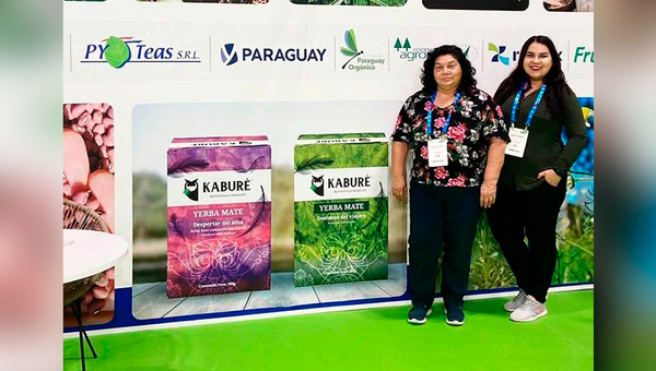 Ka'a he'ê endulzó a alemanes: PY Teas cerró negocios por alrededor de US$ 500.000
