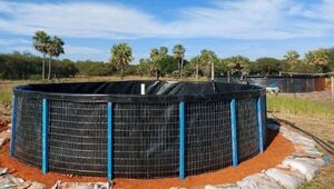 La piscicultura se integra con la ganadería en el Chaco: cómo avanza la producción con la incorporación de tecnología