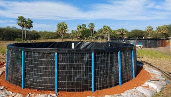 La piscicultura se integra con la ganadería en el Chaco: cómo avanza la producción con la incorporación de tecnología