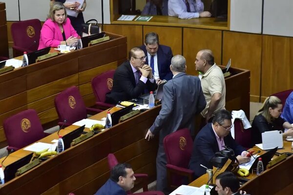 Senado rechaza proyecto de Bachi Núñez sobre repartija de dinero a estibadores marítimos - Política - ABC Color