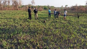 Forense no descarta que sean de una mujer los restos óseos hallados en Bella Vista Norte