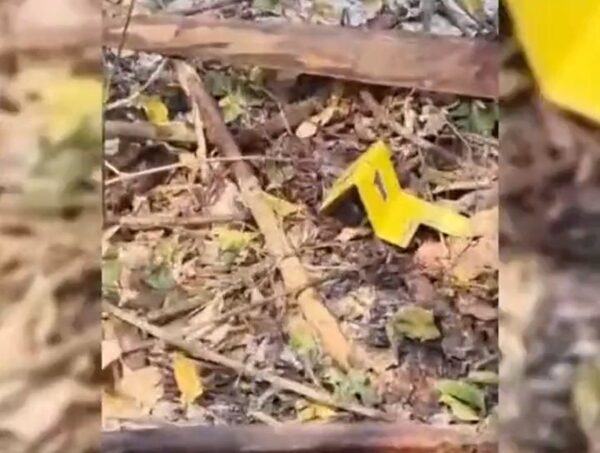 Encuentran huesos quemados de un presunto abusador en Horqueta · Radio Monumental 1080 AM
