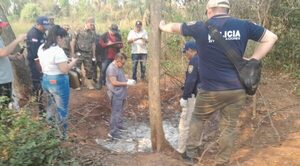 Restos humanos incinerados fueron hallados en Horqueta - Oasis FM 94.3