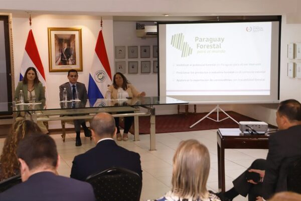Presentan al cuerpo diplomático y gremios empresariales situación forestal del país - El Independiente