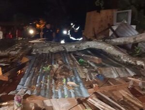 Tragedia en Encarnación: dos personas mueren por la caída de un árbol · Radio Monumental 1080 AM
