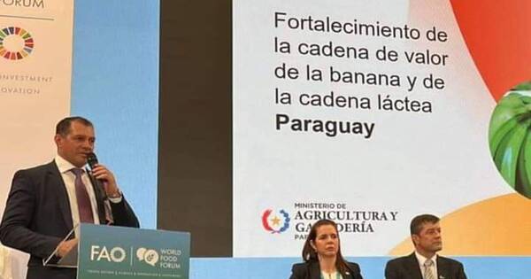 La Nación / Proyectos de banana y leche presentados en la FAO impulsarían 25.000 empleos
