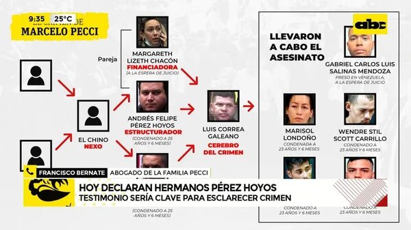 Caso Pecci: hoy declaran los hermanos Pérez Hoyos - ABC Noticias - ABC Color