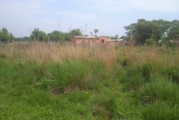 Vecino de un asentamiento de San José, solicita limpieza un baldío lindante con su vivienda - Noticiero Paraguay