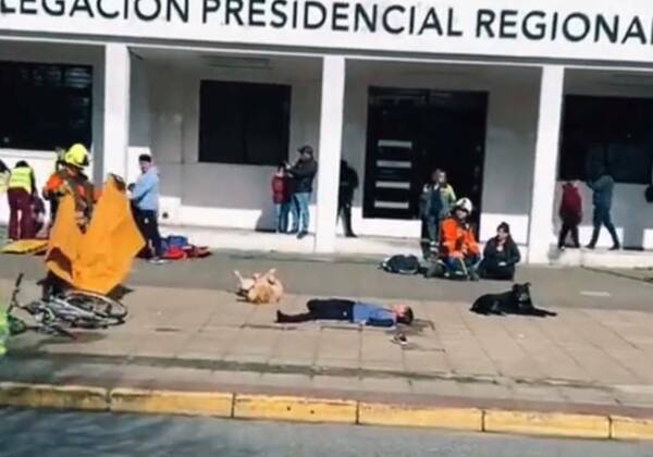 [VIDEO] Es un perro actuando: piden el Oscar para un firulais por participación en simulacro