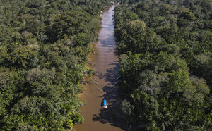 La Agencia EFE celebra en Brasil el I Foro Latinoamericano de Economía Verde - MarketData