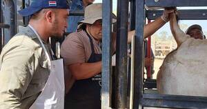 La Nación / Recolección de riesgo sanitario en programa de brucelosis bovina llega a 50,4 %