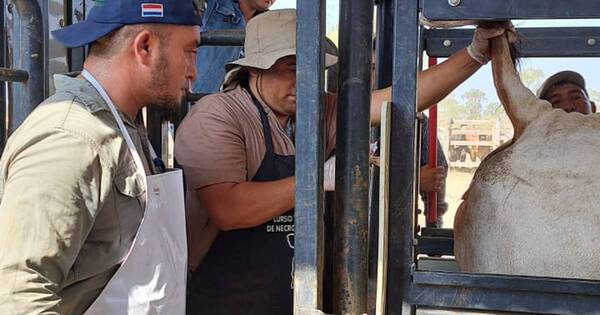 La Nación / Recolección de riesgo sanitario en programa de brucelosis bovina llega a 50,4 %