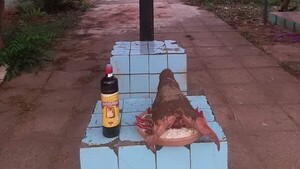 “Ofrenda” de kure akãngue y chupi llamó la atención en el cementerio de Itá
