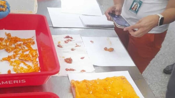 Taiwaneses procesados por tráfico de huevos de gua'a denuncian que les cobran platal