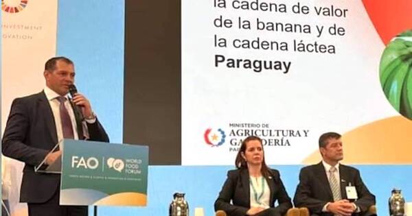 La Nación / Proyectos de banana y leche impulsarían 25.000 empleos